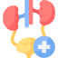 vector